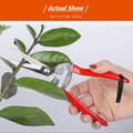 Stainless Steel Pruning Shears, Straight Precision Snips with Spring-Loaded Ergonomic Grip for Herbs, Flowers, Bonsai, Red
