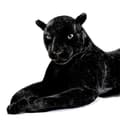 Miniatyrbillede 5 af 5: Deluxe Paws Stor Sort Panter Realistisk Plysdyr Blød Legetøj 100cm