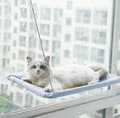 Miniatyrbilde 2 av 3: Katt Sugkopp Hängmatta Er Avtagbar Og Vaskbar