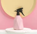 Miniatyrbillede 5 af 5: Tryksprøjte Blomstersprøjte Aftagelig blomstersprøjte til hjemmet