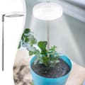 USB Rechargeable, Full Spectrum Grow Light, Adjustable Brightness, LED Grow Light