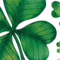 Miniatyrbilde 5 av 5: Dekorative klistremerker til St. Patrick's Day, vindusdekorasjoner til St. Patrick's Day