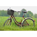 Miniatyrbillede 10 af 10: Cykelkurv - Kurv til cykel 1200