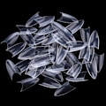 Miniatyrbillede 5 af 6: 500 stk. negletipper stiletto tipper falske negle negletipper Clear