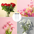 Miniatyrbillede 5 af 5: Blomsterrør 50-pak Plastblomsterrør, Transparente vandrør til blomster, Genanvendelige blomster, Vandrør-dwdz