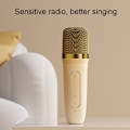 Miniatyrbild 4 av 6: Havit P1 Bärbar Sång Hem Trådlös Bluetooth Högtalare Mikrofon Set, Stil: En-mikrofon