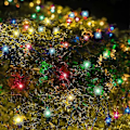 Miniatyrbillede 3 af 3: Wabjtam Udendørs Julelys, 96 LED'er 18m X18m Net Lys, Stik i 8 Blinkende Tilstande Mesh Lys, Vandtæt Til Juletræ Buske Have Pati