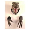 Miniatyrbild 3 av 5: Velociraptor Staty Väggfäste Resin Mount Dinosaurie Skulptur Väggdekoration för Inomhus och Utomhus