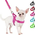 No Pull Small Dog Harness and Leash Set, Puppy Soft Vest Harness Neck