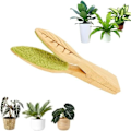 Miniatyrbild 1 av 4: Lövstädningstång Bärbar Handhållen Lövstädningsborste