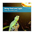 Miniatyrbild 2 av 5: 4-pack Reptil Uvb Uva Värmelampa Glödlampa För Verkligt Solliknande Stark Värme För , Amfibie (100 W) S2024123