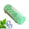 Silikonisform med lock, multifunktionell köksfrysform Green