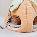 Miniatyrbilde 4 av 5: Marsvin Seng Lite Kjæledyrhus, Nydelig Gresskar Design Piggsvin Vinterrede, Rotte Chinchillaer Piggsvin Sukkerfly Ekorn & Små Kjæledyr Dyr Seng/Kube