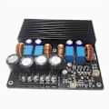 Miniatyrbild 1 av 5: Dual-Core 600W+600W Stereo Digital Högeffekts HiFi Förstärkarkort
