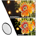 Miniatyrbillede 2 af 2: 1/1 Soft Focus Filter Diffusionsfilter Med Vandtæt Støvtæt Fmc Grøn Film Til Kameraobjektiv 49mm