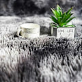 Miniatyrbild 5 av 5: Mjuk modern lurvig 4x6.6 matta för sovrum vardagsrum studentrum barnrum heminredning, halkfri plysch fluffig