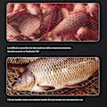 Miniatyrbilde 3 av 5: 3 stk. Additiv Je60ml Sterk Fiskelokkende Konsentrert Rød Mark Væske Fisk Agn Additiv