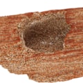 Miniatyrbillede 5 af 8: Akvarie Dekoration Sten Grotter Simulation Sten Landskab Akvarium Gemmested Grotter til Akvarium Fisketank 18x7x8.1cm / 7.1x2.8x3.2in