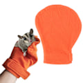 Miniatyrbillede 1 af 8: Sukker Glider Bonding Vante Bid Modstand Små Dyr Bonding Vante til Små Dyr Sukker Glider Pindsvin Orange