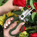 Miniatyrbilde 3 av 5: Hagesaks for blomster, rustfritt stål blomstersaks, sterk