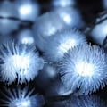 Miniatyrbild 2 av 7: 16,5 ft Solenergi 30 LED Furry Snowball String Lights Dandelio White
