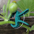 Miniatyrbillede 4 af 8: 40 stk. planteclips og tomatclips og haveplanter