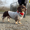 Miniatyrbillede 5 af 5: Varm pullover fleece hundetrøje  snor - vinter