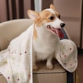 Miniatyrbillede 4 af 5: 3 tæpper super bløde fluffy premium fleece kæledyrstæppe flanneldækken til hund hvalp kat lyse prikker