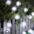 Miniatyrbild 5 av 7: 16,5 ft Solenergi 30 LED Furry Snowball String Lights Dandelio White