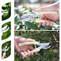 Miniatyrbild 2 av 8: BUGUI Trädgård Beskärning Saxar Set - 2 Pack, 1 Bypass Beskärare+1