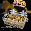 Miniatyrbillede 2 af 5: Krybdyr Foderkop Forhindrer Undslipning Transparent Krybdyr Foderbeholder med Sugekop til Firben Gecko Skægget Agame L