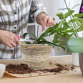 Miniatyrbillede 4 af 6: Sæt med 3 plante kurve, flettet blomsterkurv, gammeldags