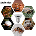 Miniatyrbild 2 av 5: E27 50W Dimbar Reptilvärmelampa, UVA UVB Sköldpaddslampa Full Spectrum Sollampa för Reptiler och Amfibier Orm, 4 st