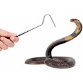 Miniatyrbillede 3 af 5: Slangefangstkrog i rustfrit stål, teleskopisk, udtrækkelig slangefanger, krybdyrfangerkrog til krybdyrfangst, kontrol af bevægelige dyr, små