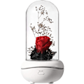 Miniatyrbillede 1 af 7: Bevaret duft, bærbar lampe, genopladelig, USB aroma diffuser