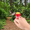 Miniatyrbillede 6 af 7: Kolibri håndføder blomst håndholdt kolibri fodringsværktøjer mini håndfodringsværktøjer kolibri ringføder til udendørs baghave natur, rød
