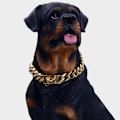 Miniatyrbild 2 av 5: Hundhalsband i Kedja, Hundmodeaccessoarer, Starkt Kubanskt Kedjehalsband i Rostfritt Stål, Metallhalsband för Promenader, Lämpligt för Pojkar Flickor Stora H