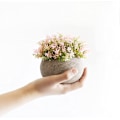 Miniatyrbillede 2 af 5: 2 stk. små kunstige planter til badeværelse, kontor eller hjem