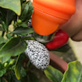 Miniatyrbillede 4 af 8: 20 stk. fingerbeskyttelse mod snit