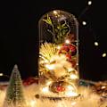 Miniatyrbild 3 av 5: Glaskupa Julväxter Juldekorationer Glaskupa Chr