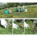Miniatyrbilde 3 av 5: Hageskiller i rustfritt stål, håndverktøy for ugressfjerning, hagespade