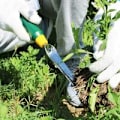Miniatyrbilde 5 av 5: Hageskiller i rustfritt stål, håndverktøy for ugressfjerning, hagespade