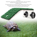 Miniatyrbild 6 av 8: Liten sköldpadda solplattform simuleringsgräs sköldpadda stege viloplats med sugkopp för små reptiler groda M