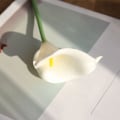 Miniatyrbillede 3 af 5: Calla Lily 10 stk. Kunstige Blomsterbuket til Bryllup Brud