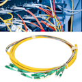 Miniatyrbild 1 av 8: Fiber Pigtail Kabel Single Mode 12 Strand 1,5m Stabil Fiberoptisk Pigtail för Lokalt Nätverkskommunikationssystem