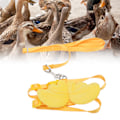 Miniatyrbillede 1 af 8: Ducks Traction Rope Justerbar Brystrem Udendørs Gåsele Sele Snor til Kæledyr And Kylling GåsGul XS