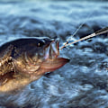 Miniatyrbilde 2 av 7: Fiske krokfjerner sett, fiskekrokfjerner verktøysett, fiskekrokfjerner for saltvann og ferskvann