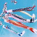 Miniatyrbillede 3 af 8: 5 stk. japansk karpe vindstrømpe streamer fisk flag drage