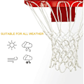 Miniatyrbilde 3 av 4: Profesjonell basketballnett