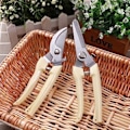 Miniatyrbild 6 av 8: BUGUI Trädgård Beskärning Saxar Set - 2 Pack, 1 Bypass Beskärare+1